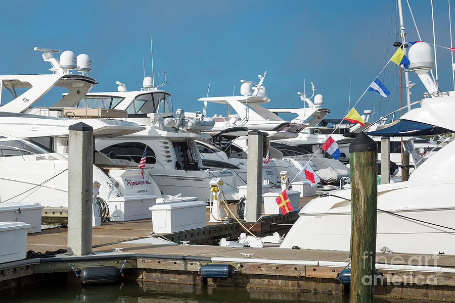 Naples Sailing and Yacht Club II Photograph by Brian Jannsen