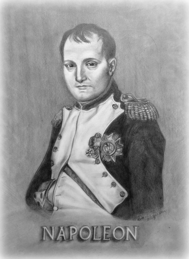 Napoleon Drawing by Darla Dixon Pixels