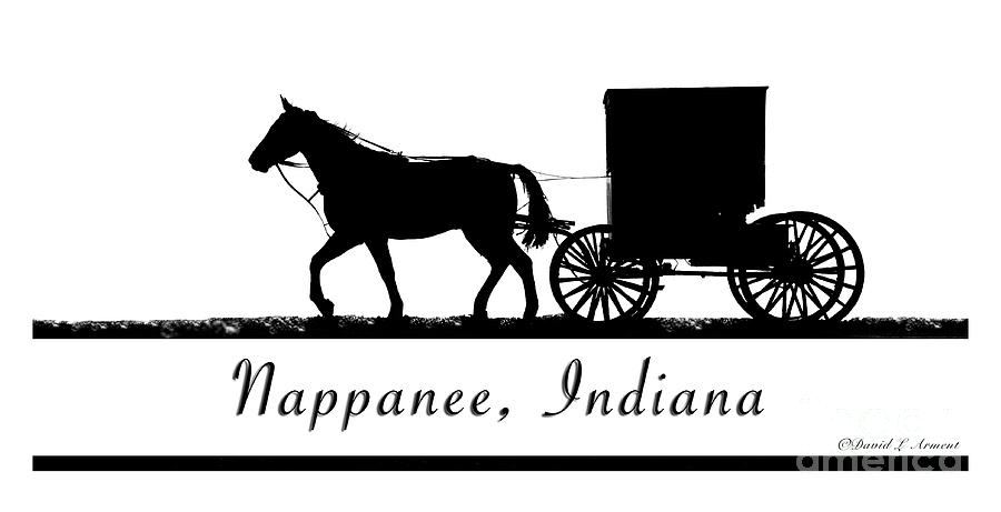 Nappanee Horse and Buggy Photograph by David Arment