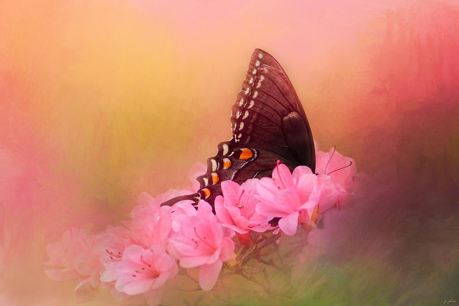 Butterfly Photograph - Napping In The Azaleas by Jai Johnson