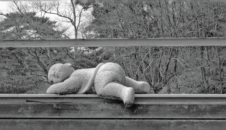 Napping Sculpture No. 1-1 Photograph by Sandy Taylor