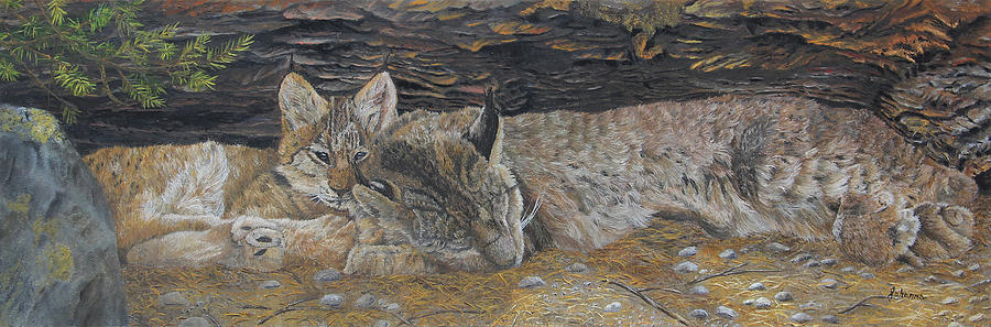 Naptime - Canadian Lynx Painting by Johanna Lerwick