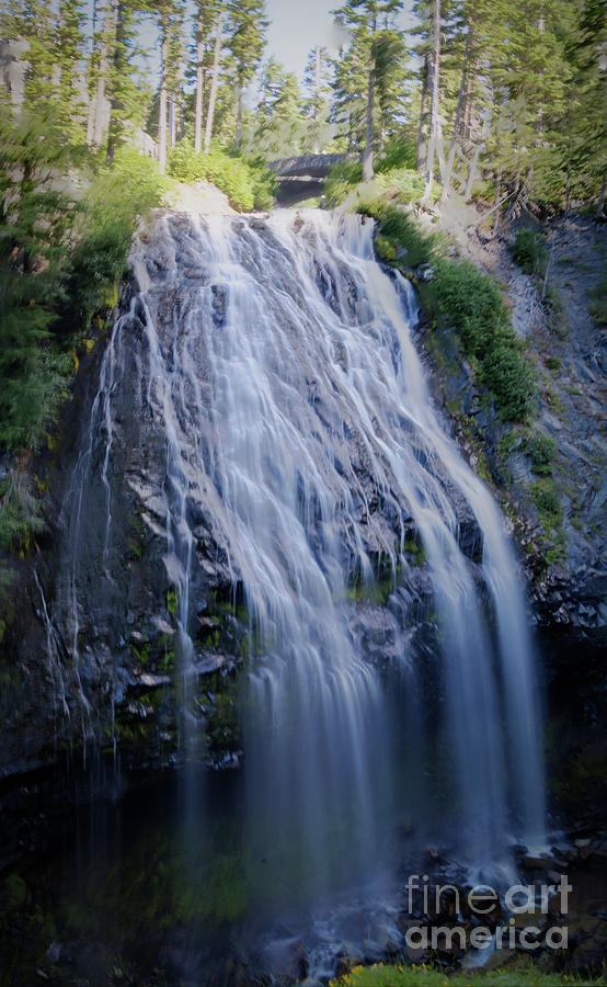 Narada Falls Photograph by Deborah Klubertanz