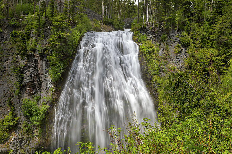 Paradise Photograph - Narada Falls in Mount Rainier National Park by David Gn