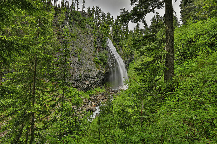 Narada Falls Mt. Rainier National Park Photograph by Sam Amato