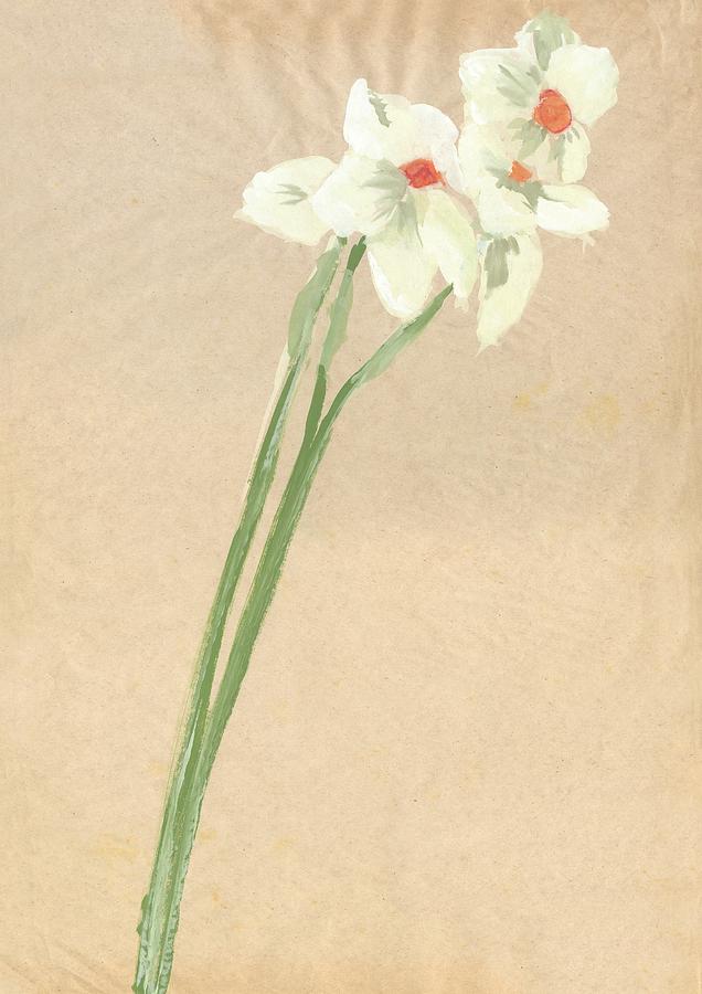 Flower Painting - Narcissi Study 4 by Sally Taylor