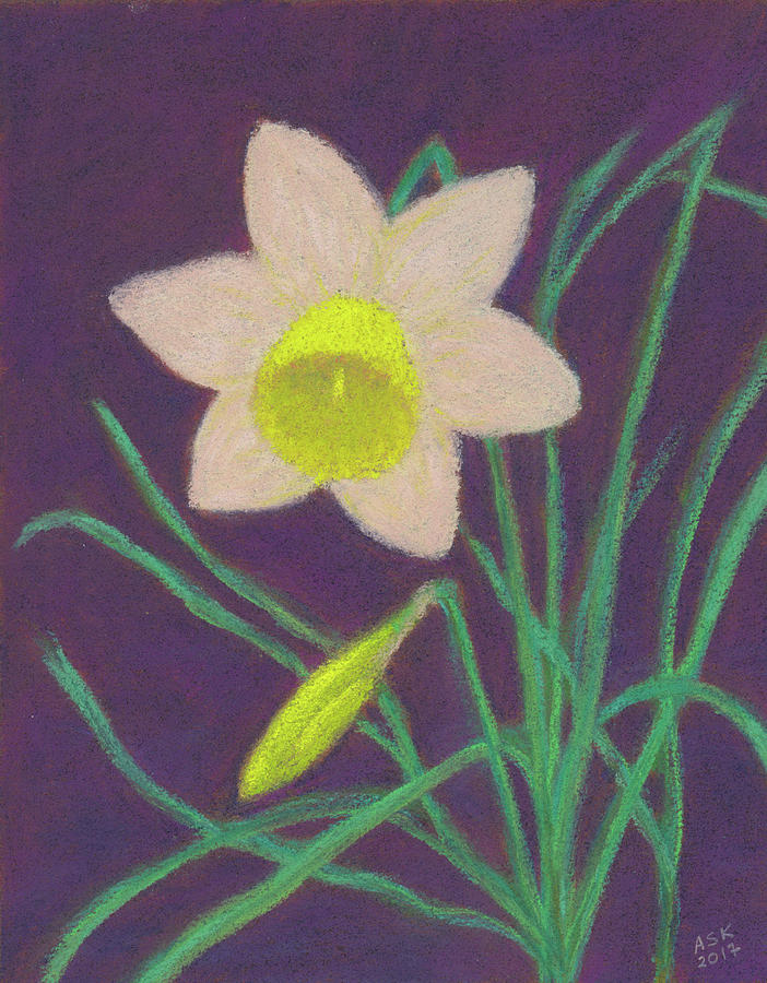 Narcissus Hello Pastel by Anne Katzeff
