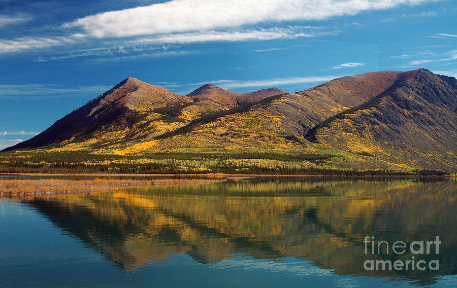 Nares Mountain Yukon Photograph by Cindy Murphy - NightVisions 