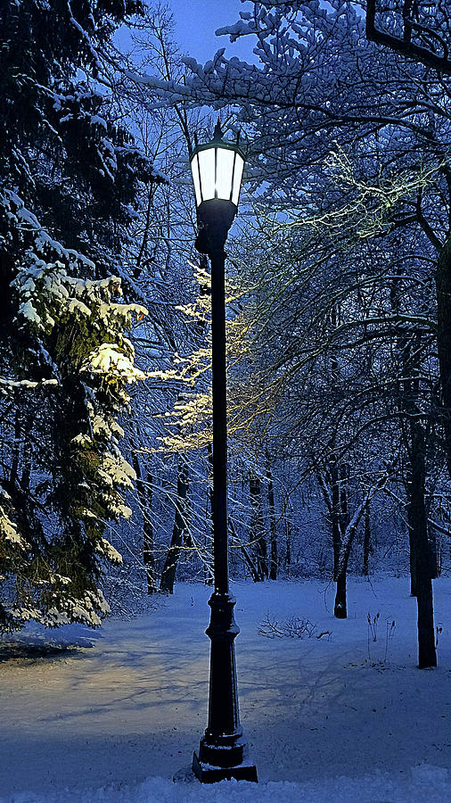 Winter Photograph - Narnia by Phil Koch