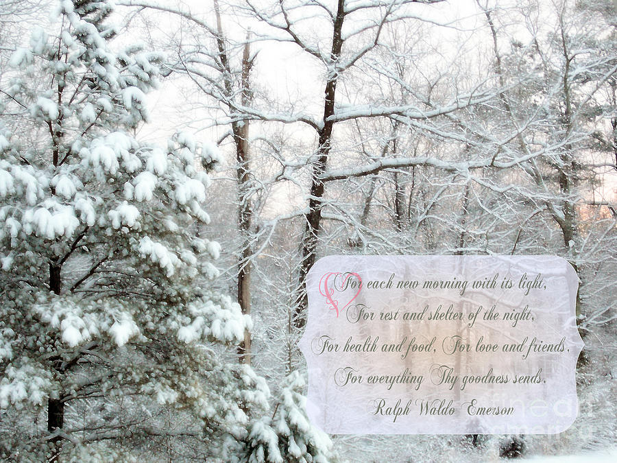 Narnia - Poem Digital Art by Anita Faye