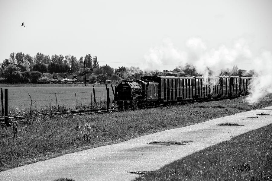 Narrow Gauge Steam Train 2 Photograph by Roy Pedersen