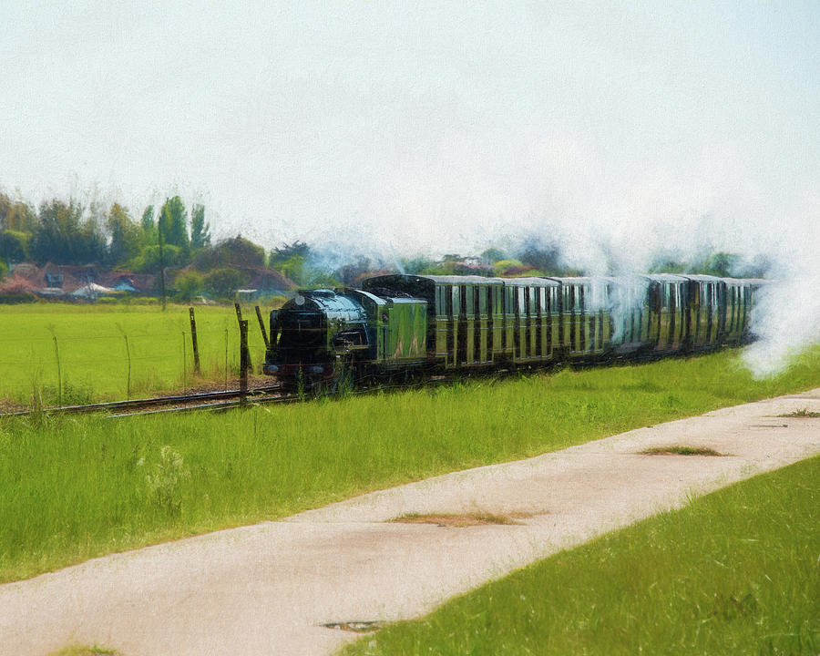 Narrow Gauge Steam Train 3 Digital Art by Roy Pedersen