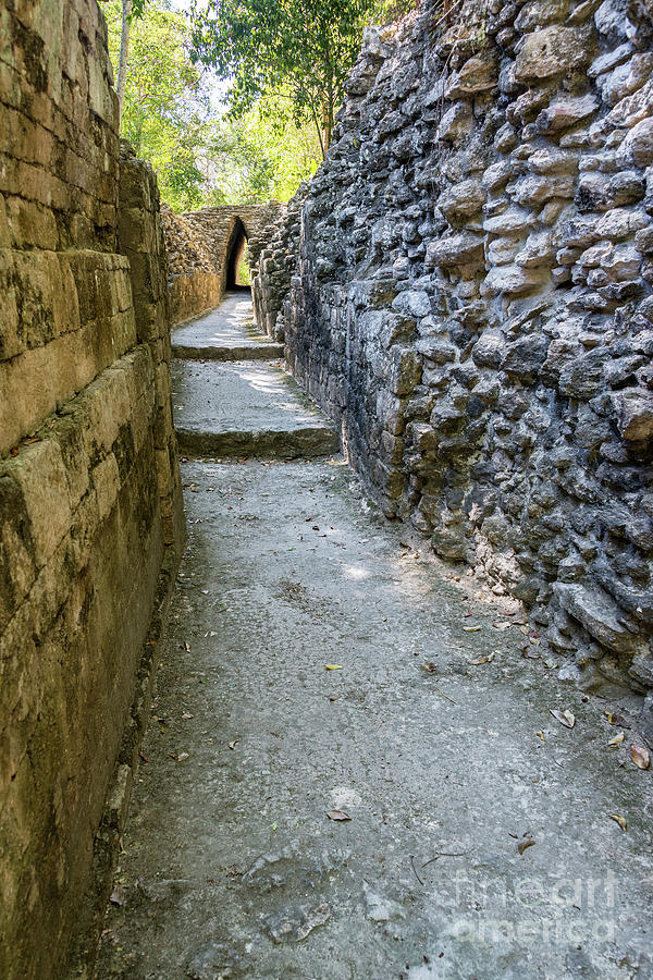 Narrow Mayan Road Photograph by Jess Kraft