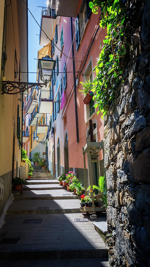 Narrow Street in Cinque Terre Italy Photograph by Joan Carroll