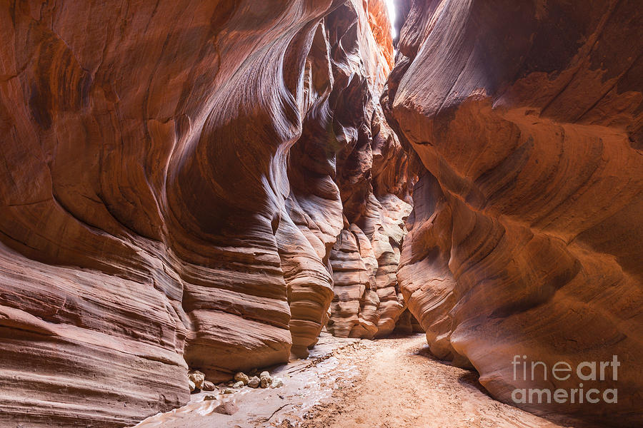 Nature Photograph - Narrow Wilderness Slot Canyon in Southern Utah by Trekkerimages Photography