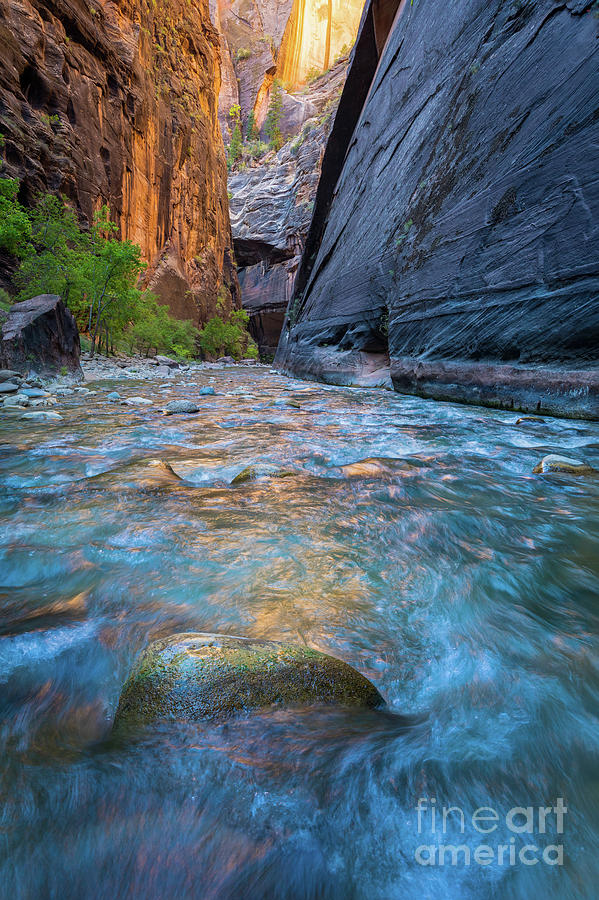 Narrows Flow Photograph by Inge Johnsson