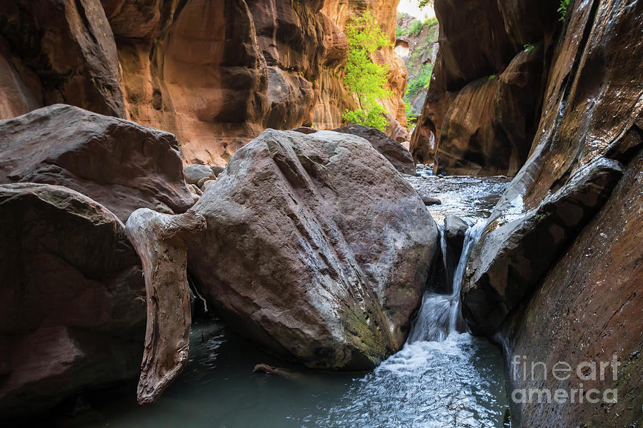 Narrows in Zion Photograph by George Kenhan