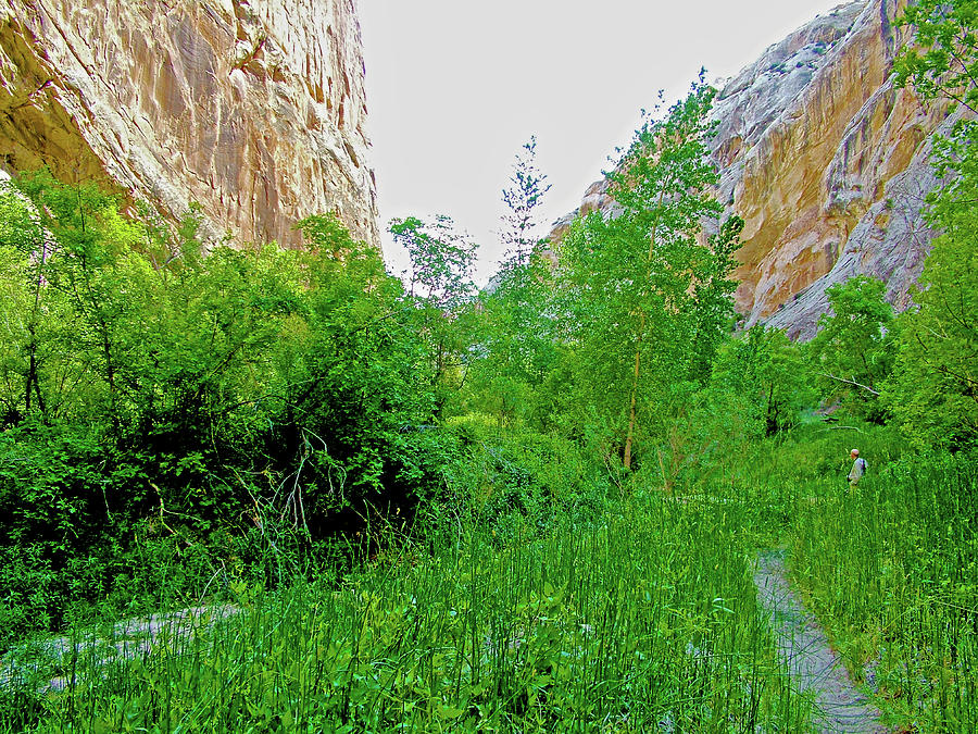 Narrows on Hog Canyon Trail on Tour of the Tilted Rocks in Dinosaur National Monument, Utah Photograph by Ruth Hager