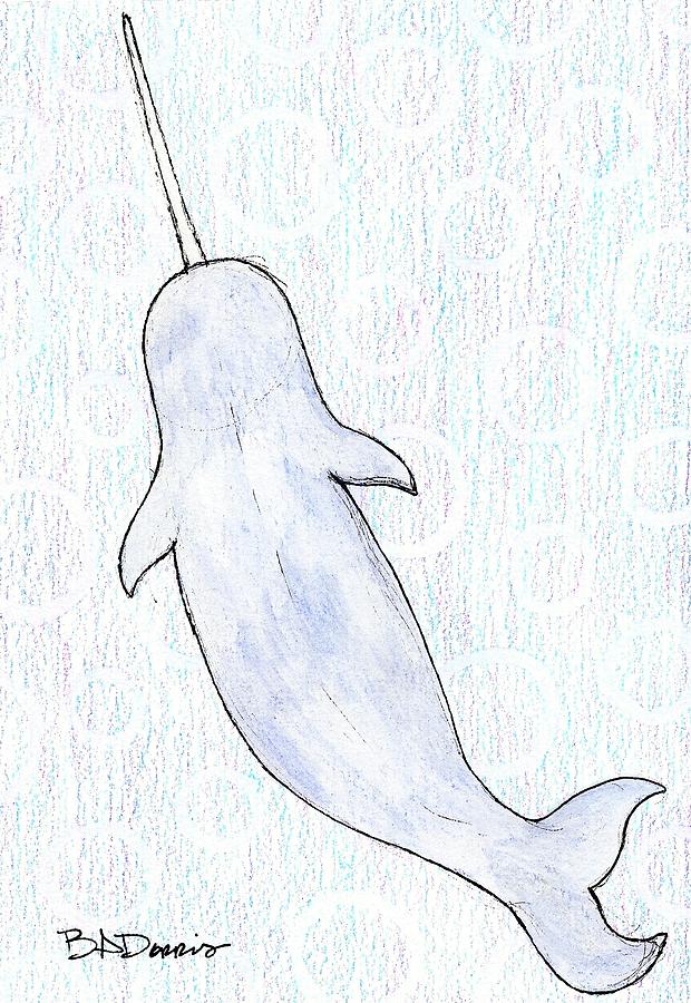 Narwhal Drawing by Brittany Dorris Fine Art America