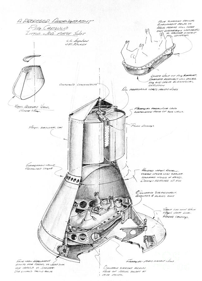 NASA Pen ink drawing of a proposed arrangement for a Pig Capsule in Little Joe capsule first shot Drawing by Vintage Collectables