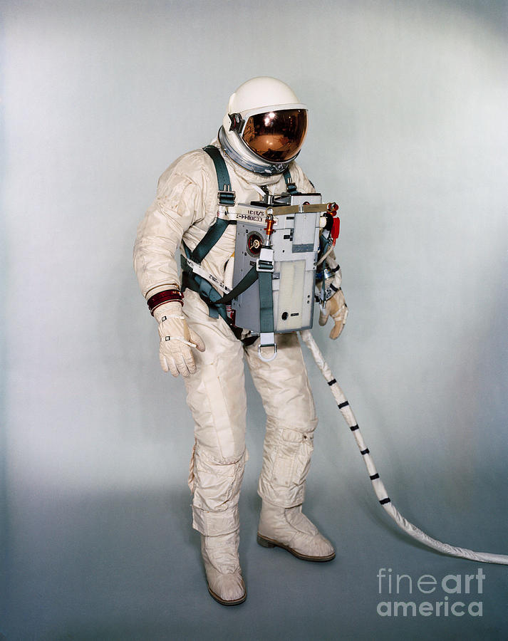 Space Man NASA Suited test subject equipped with Gemini 12 Life Support System and waist tethers Photograph by Vintage Collectables