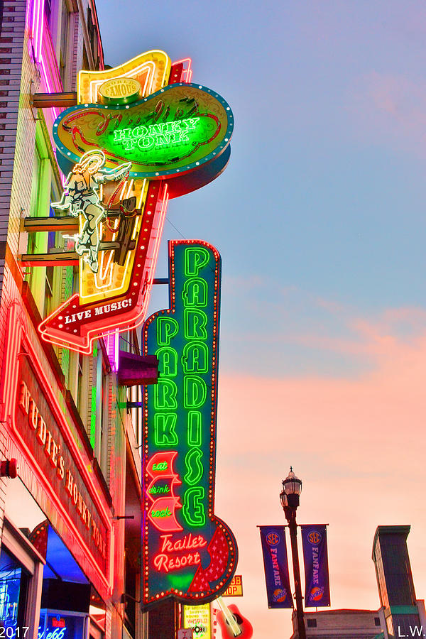 Nashvilles Neon Signs Photograph by Lisa Wooten