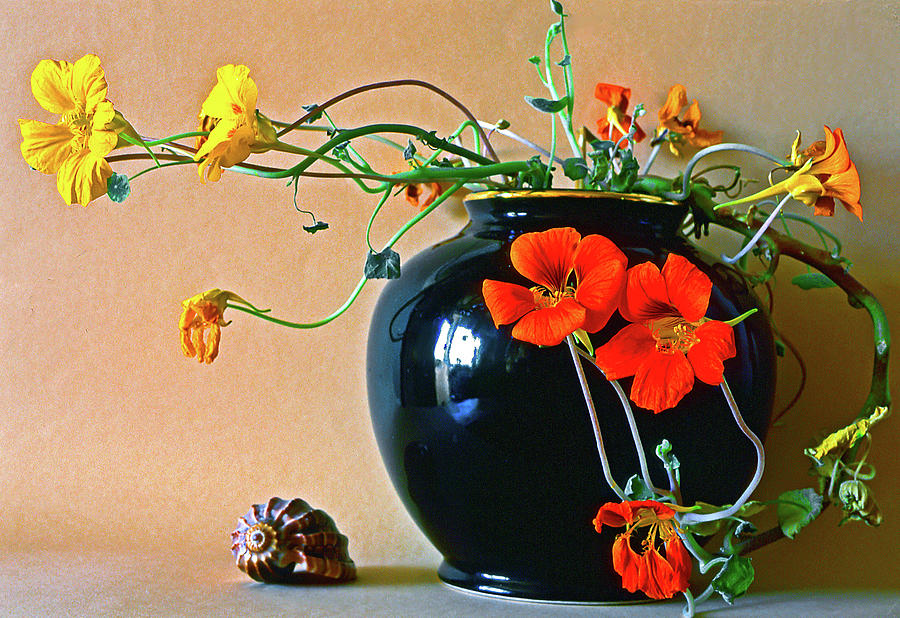 Nasturtiums in Black Vase Photograph by Jarmo Honkanen