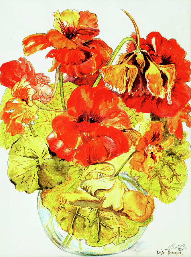Spring Painting - Nasturtiums by Joan Thewsey