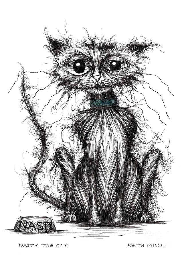 Nasty the cat Drawing by Keith Mills Pixels