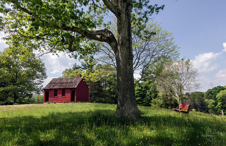 Tree Photograph - Nathan Hale One-Room Schoolhouse by Betty Denise