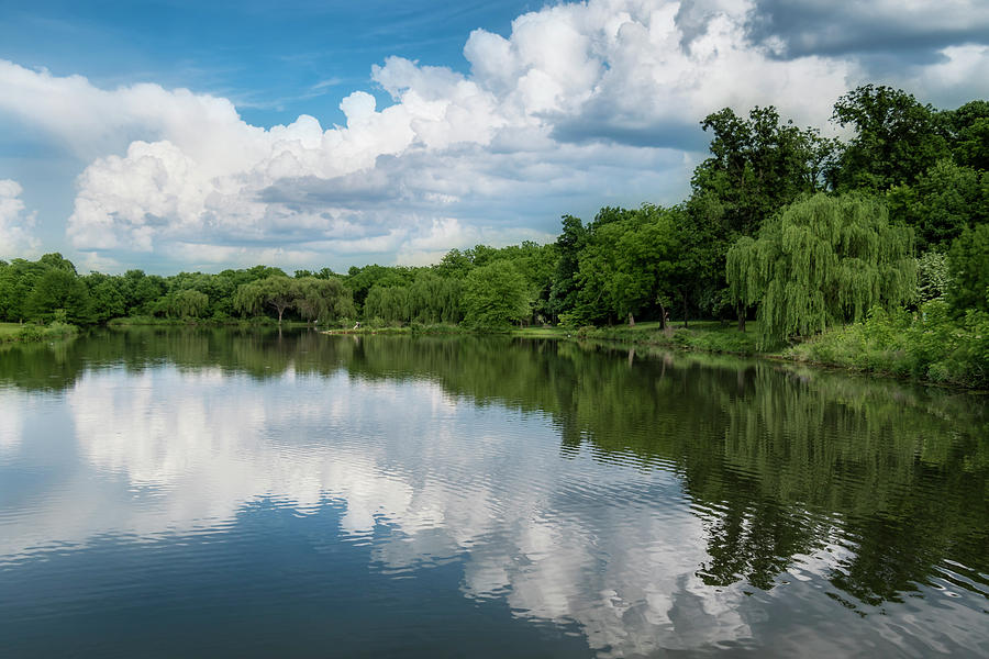 Nathanael Greene Park Photograph by Allin Sorenson