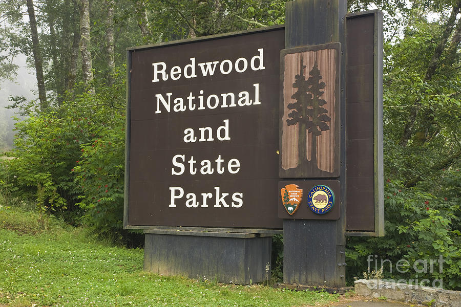 National & State Park Sign Photograph by Inga Spence