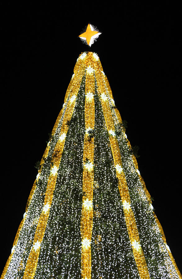 National Christmas Tree 2015 Photograph by Cora Wandel