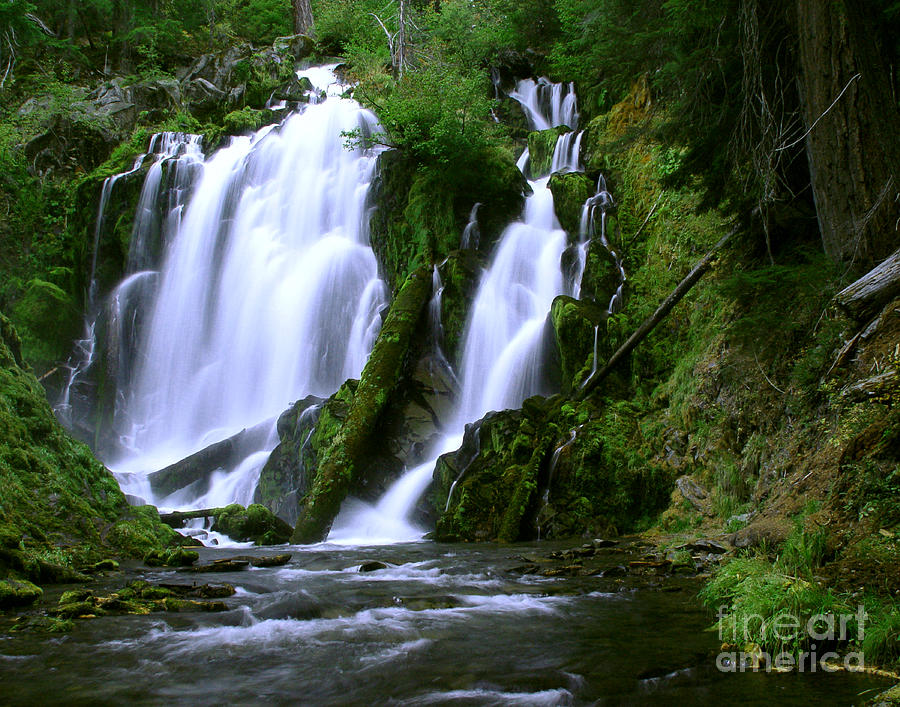 Waterfall Photograph - National Creek Falls 02 by Peter Piatt