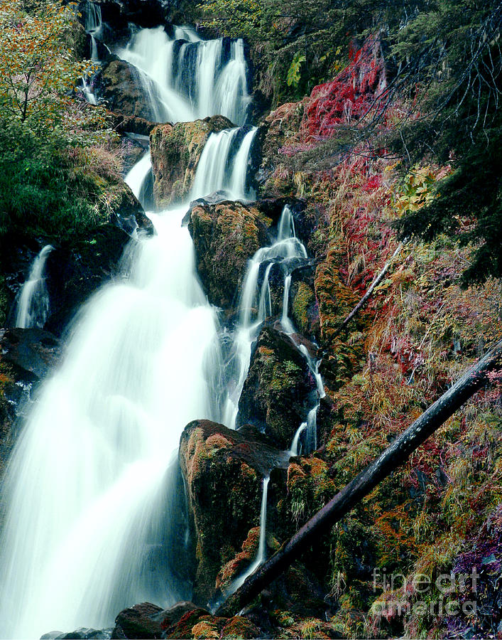 Waterfall Photograph - National Creek Falls 07 by Peter Piatt