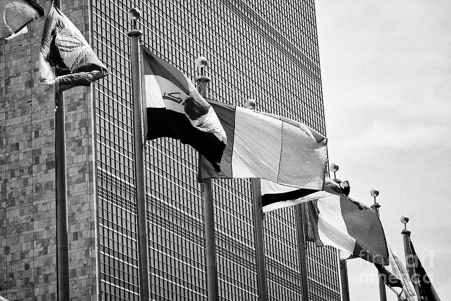 national flags including ireland at the United Nations building New ...