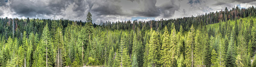 National Forest Cosumnes River Panorama Photograph by SC Heffner