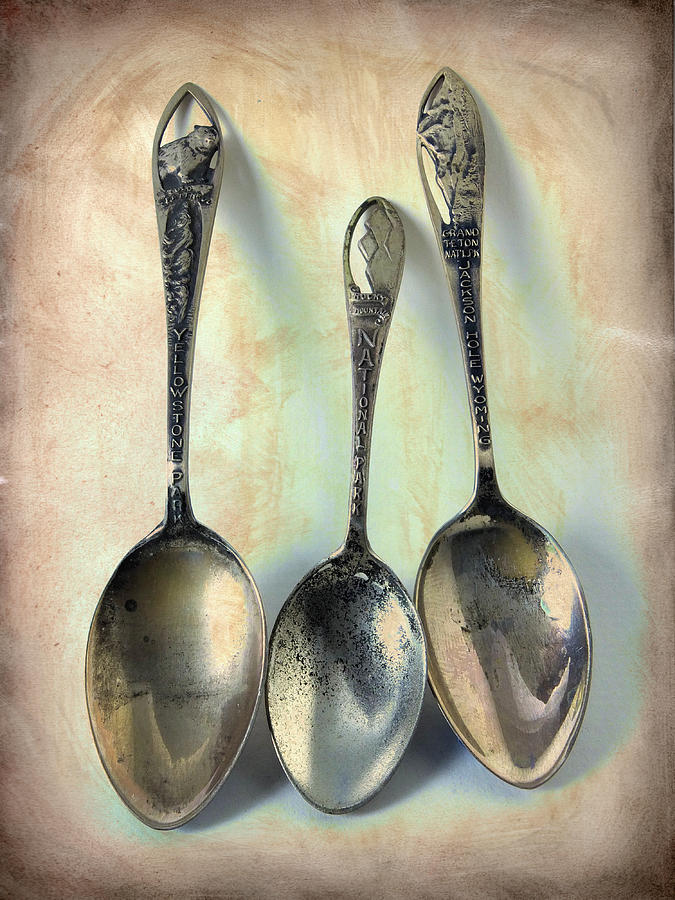 National Park Spoons Photograph by Scott Kingery