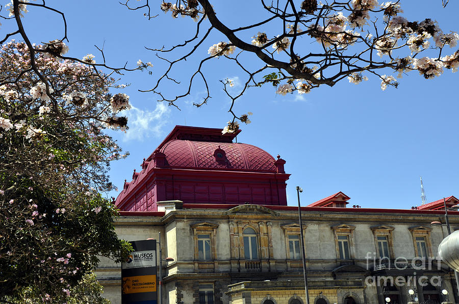 National Theater of Costa Rica 3 Photograph by Andrew Dinh