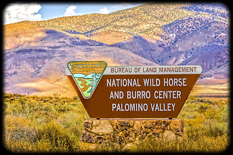 National Wild Horse and Burro Center Palomino Valley Sign Photograph by LeeAnn McLaneGoetz McLaneGoetzStudioLLCcom