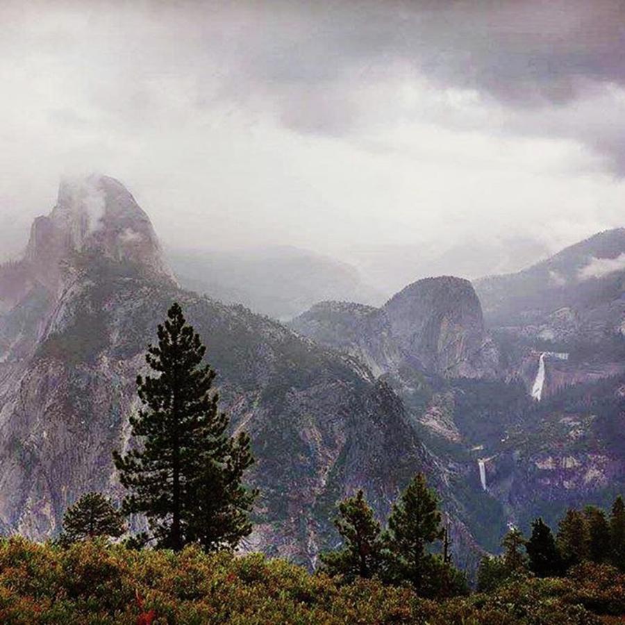 Yosemite National Park Photograph - #nationalpark #yosemite by Patricia And Craig