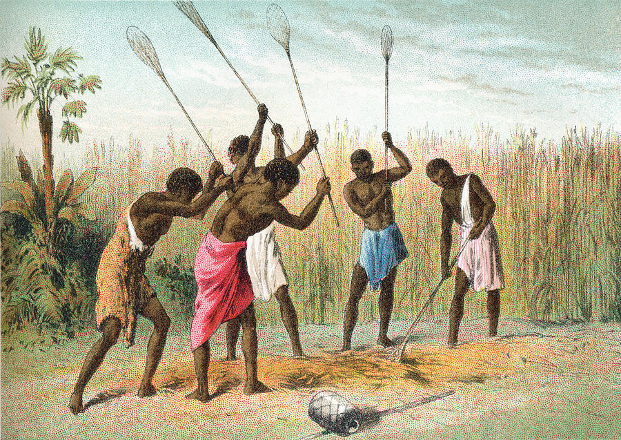 Africans Drawing - Native Africans Beating Sorghum, Or by Vintage Design Pics