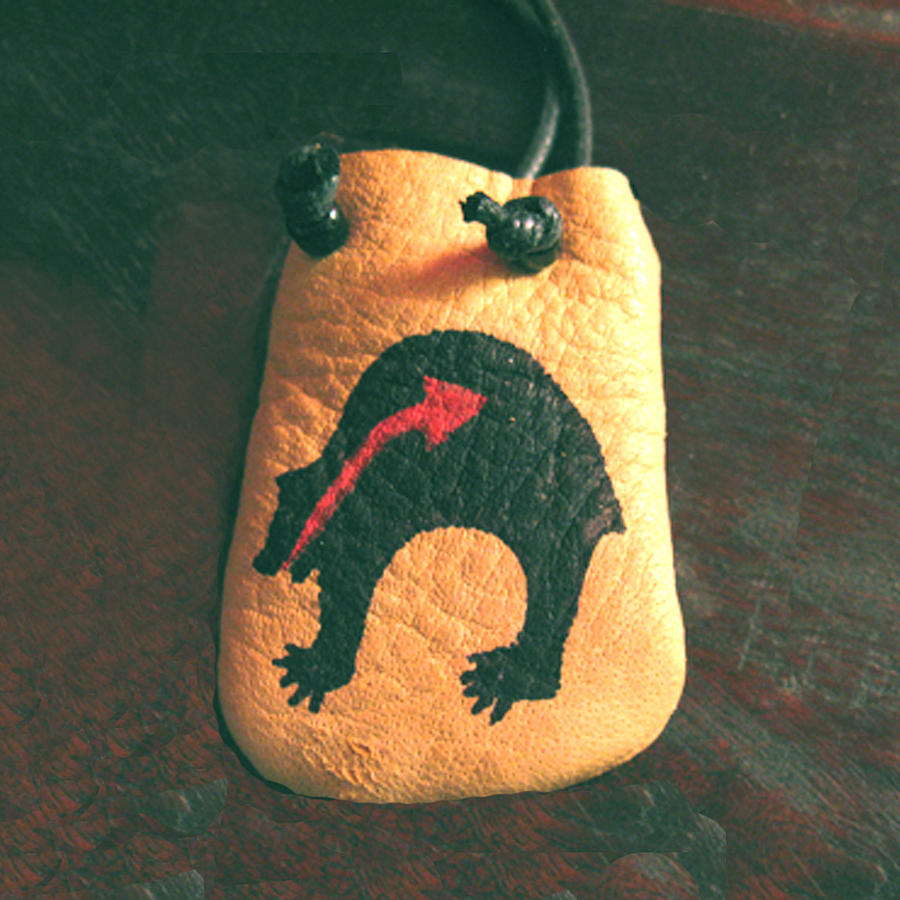 Necklace Jewelry - Native American Bear Leather Medicine Bag by Paula Bidwell