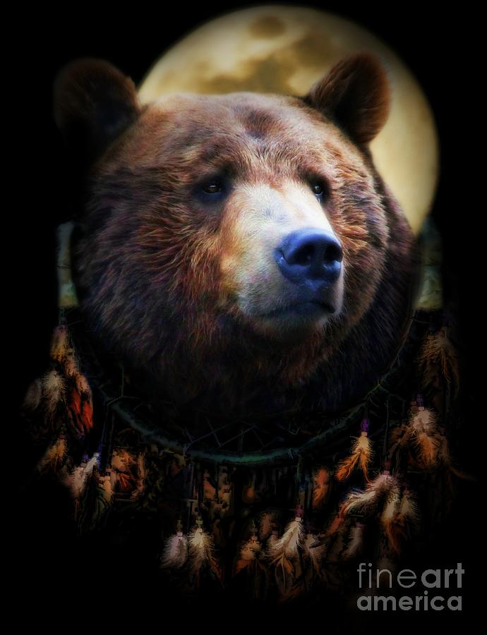 Native American Dream Catcher and Bear Photograph by Stephanie Laird