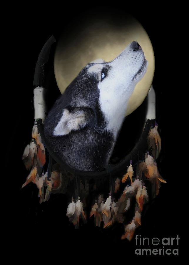 Native American Dream Catcher Wolf Husky Dog  Photograph by Stephanie Laird