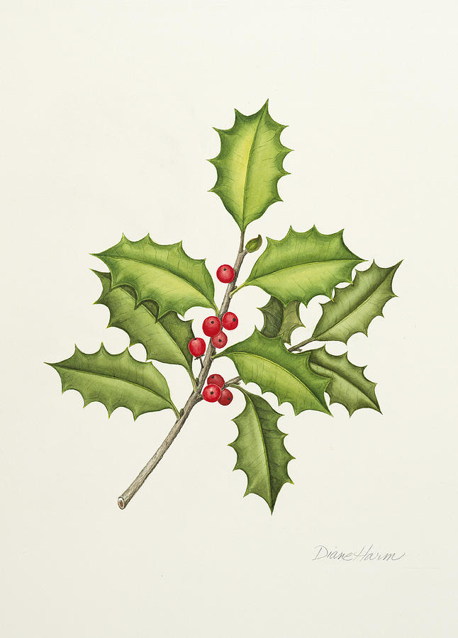 Native American Holly Painting by Diane Harm