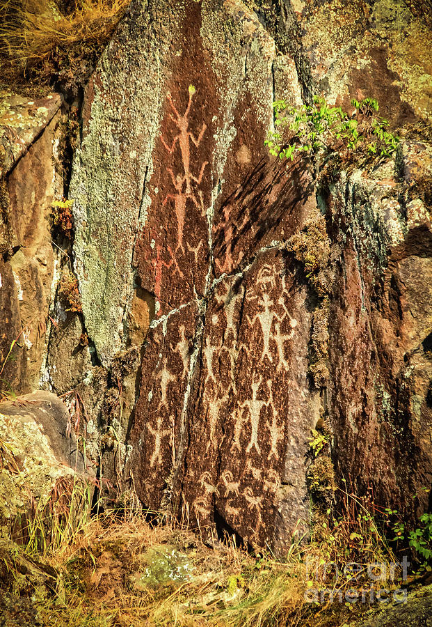 Native American Petroglyphs Photograph by Robert Bales