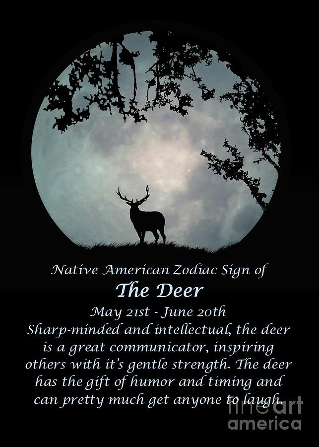 Native American Zodiac Sign Of The Deer Photograph By Stephanie Laird