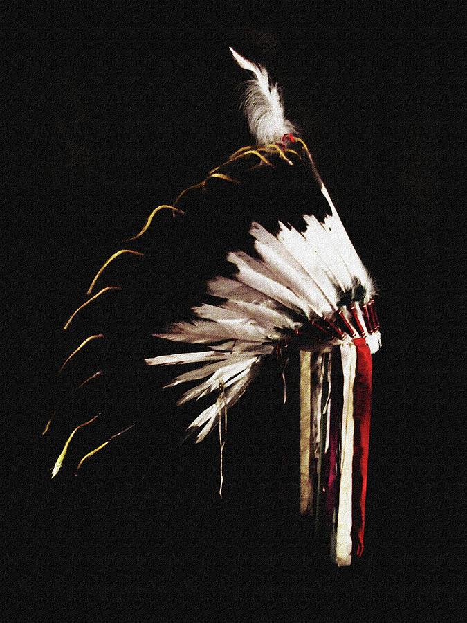 Native Headdress Photograph by DiDesigns Graphics