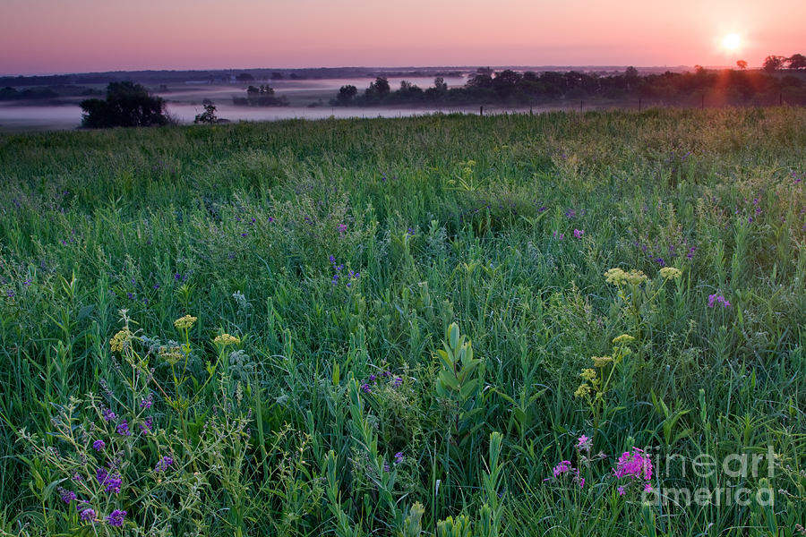 Native Prairie Meadow At Sunrise Photograph by Kenneth M. Highfill